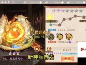 少年三国志2，高效策略存储与管理高级招将令与神兵令