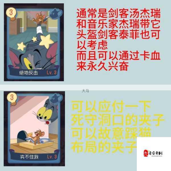 猫和老鼠手游，揭秘最强知识卡与玩法精髓