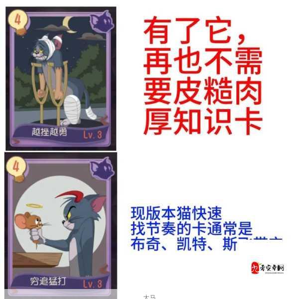 猫和老鼠手游，揭秘最强知识卡与玩法精髓