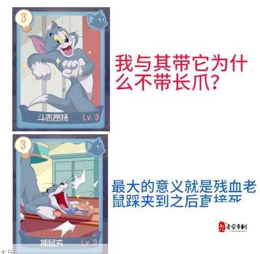 猫和老鼠手游，揭秘最强知识卡与玩法精髓