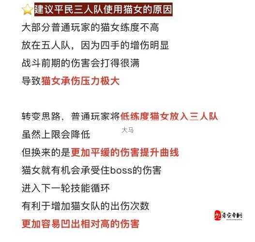 剑与远征11-8通关攻略，阵容搭配与打法汇总的深度解析